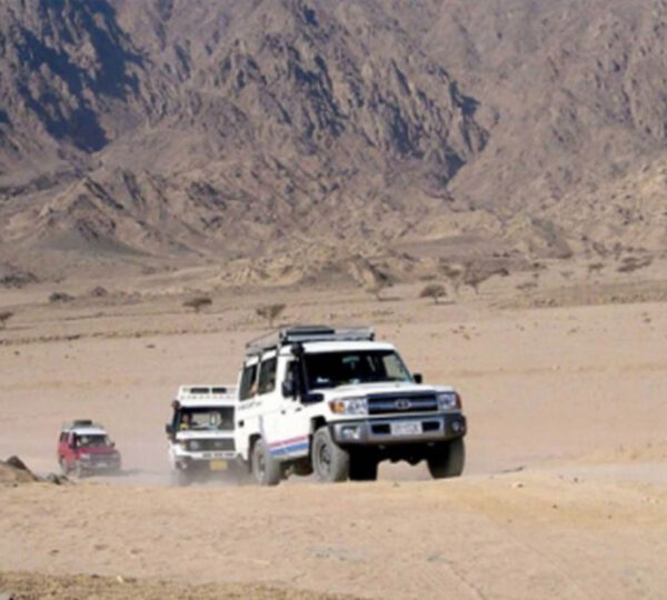 Morning Quad Biking Safari Tour in Hurghada